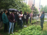 Farmer Kate leads a garden tour at our Mt Vernon youth garden